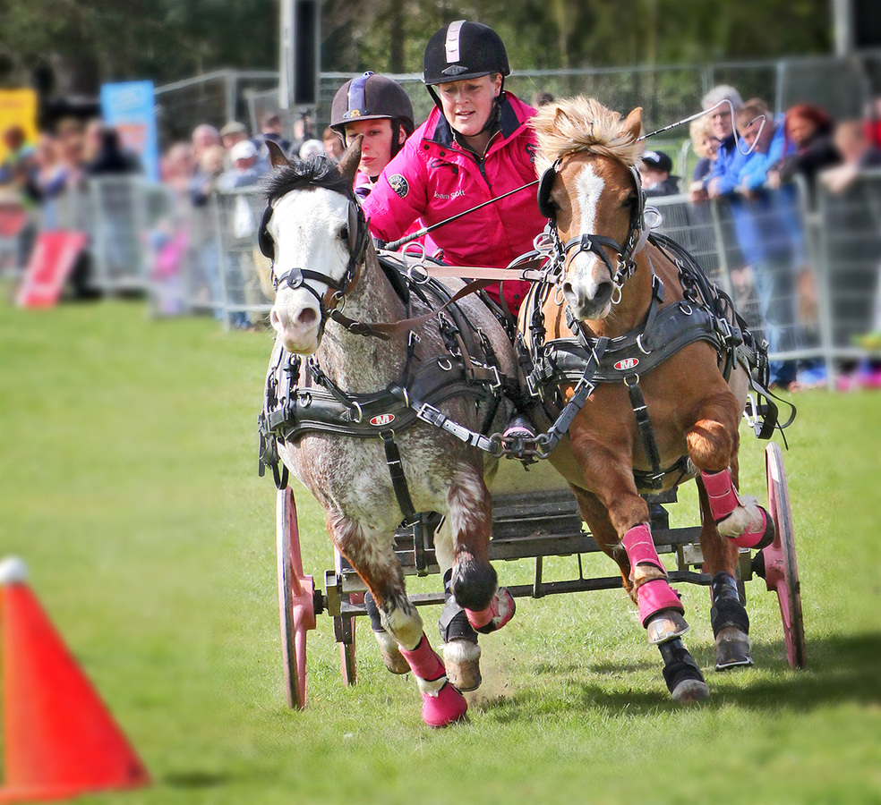 Going for a clear round.